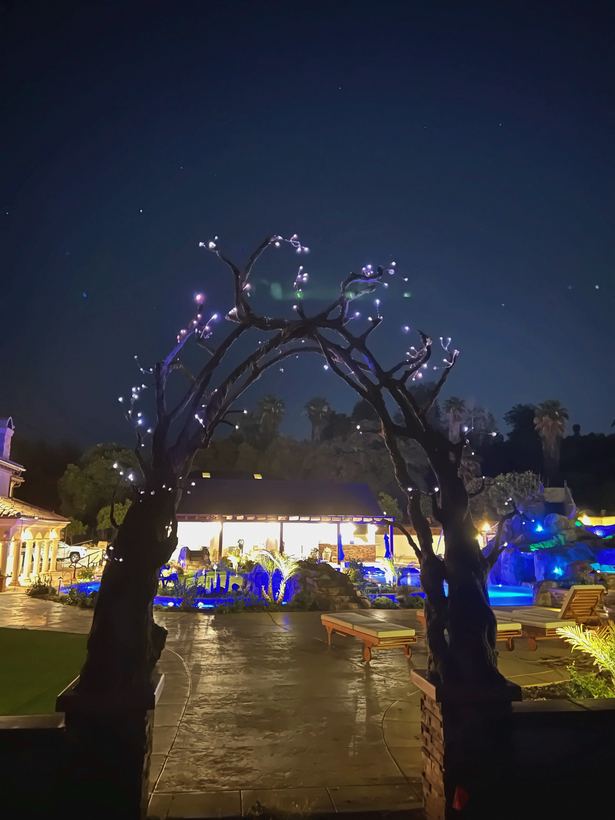 The tree arch, lit at night